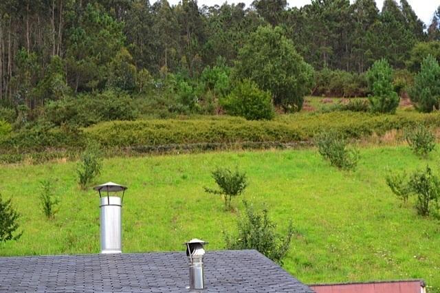 Apartamentos Rurales Casa Ron Coana 外观 照片