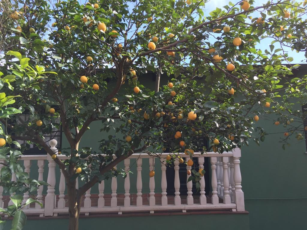 Apartamentos Rurales Casa Ron Coana 外观 照片