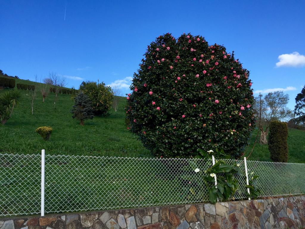Apartamentos Rurales Casa Ron Coana 外观 照片