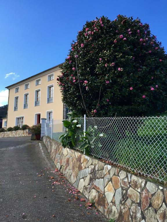 Apartamentos Rurales Casa Ron Coana 外观 照片
