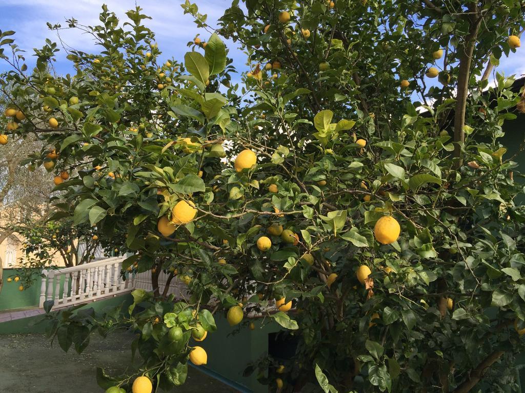 Apartamentos Rurales Casa Ron Coana 外观 照片
